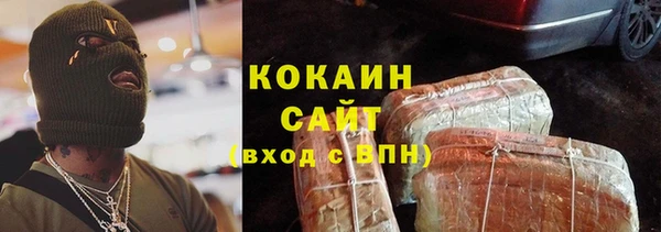соль ск Няндома