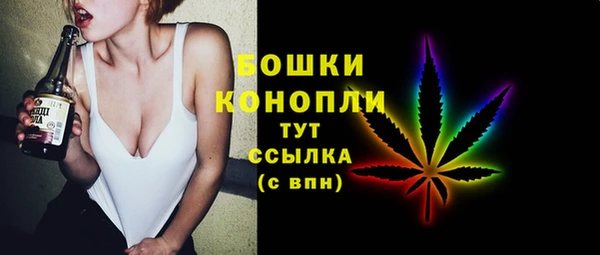 соль ск Няндома