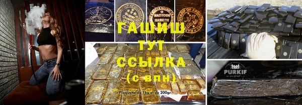 соль ск Няндома