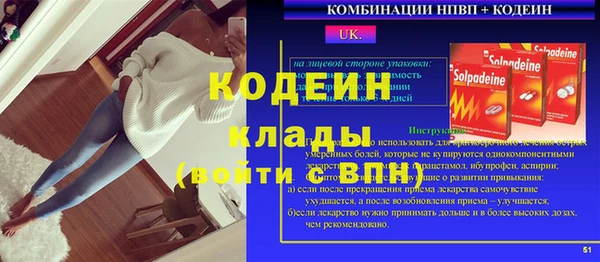 соль ск Няндома