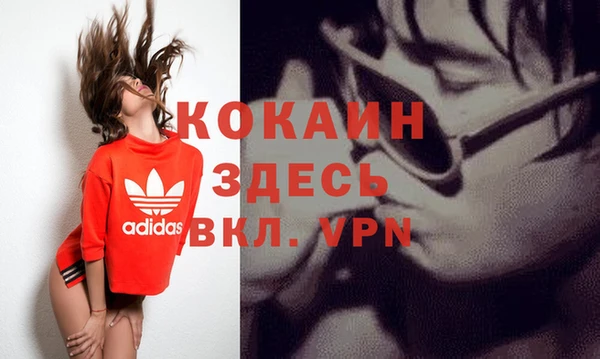 соль ск Няндома