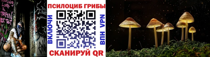 Галлюциногенные грибы GOLDEN TEACHER Тверь