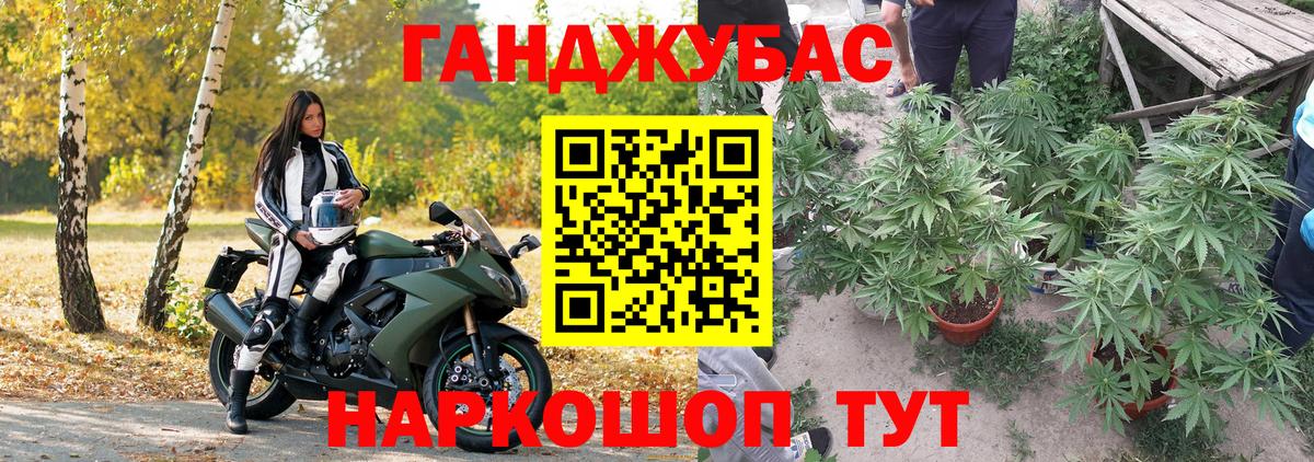 Марихуана Bruce Banner  Вход с VPN  Конопля AK-47  Тверь  Конопля планчик 